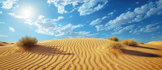 Aufkleber - Desert sand dunes with ample copy space image for showcasing products