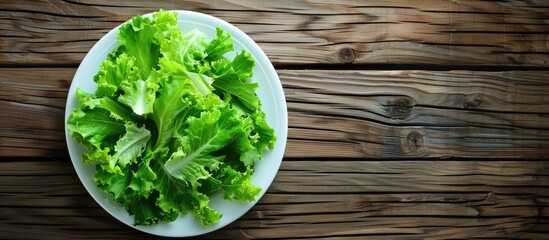 Fototapete - Top view of a salad with crisp lettuce leaves in a white plate on a wooden table background featuring copy space image