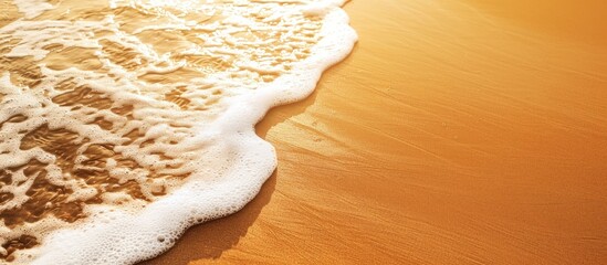 Wall Mural - Background featuring a sandy beach with space for copy or text