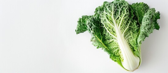 Fototapete - Chinese cabbage displayed with a plain white background providing ample copy space for images