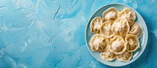Aufkleber - Top view of traditional Russian dumplings and ravioli on a blue background with copy space image available