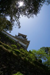 Wall Mural - Kochi Castle keep and the sun from below