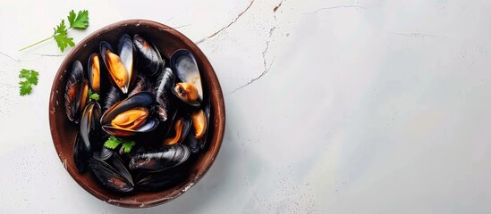 Fototapete - Mussels in a Russian bowl on white background with copy space image