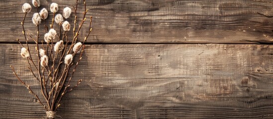 Poster - Wooden background holding a pussy willow bunch on an Easter greeting card ideal for a copy space image