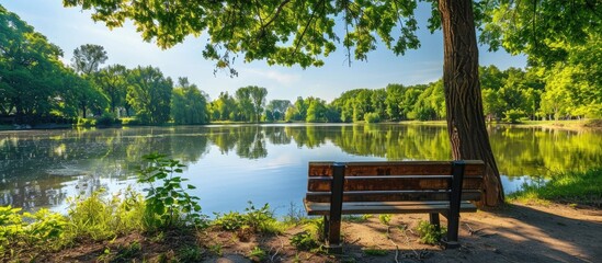 Poster - A picturesque scene of stunning trees mirrored in the lake on a sunny day surrounded by a wooden bench with a copy space image