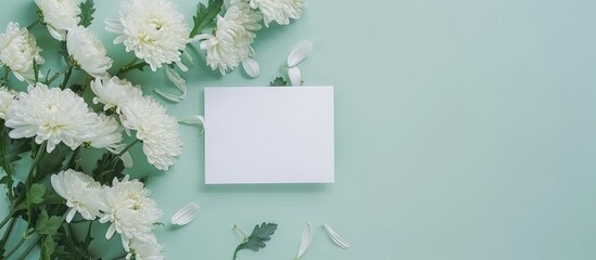 Fototapete - Chrysanthemums and a blank card on a light green background for a flat lay composition with copy space image