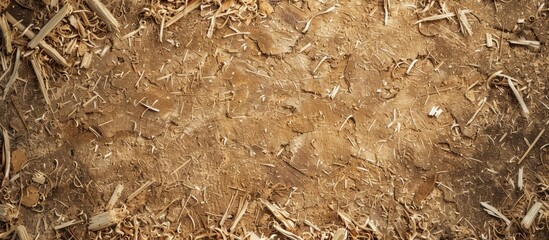 Poster - Copy space image of sawdust on a natural brown ground with roots perfect for adding text