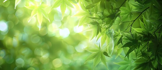 Poster - Background with blurred green leaf pattern ideal for copy space image