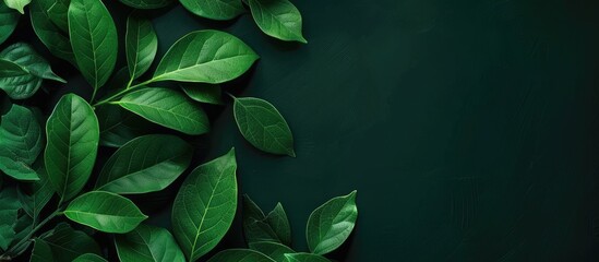 Poster - Background featuring green leaves with empty copy space image