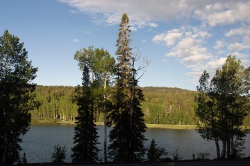 Sticker - Aspens and evergreens surround Jumbo Reservoir the Grand Mesa National Forest in Colorado