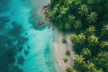 Wall Mural - Aerial view of a tropical island with a coral reef and sandy beach