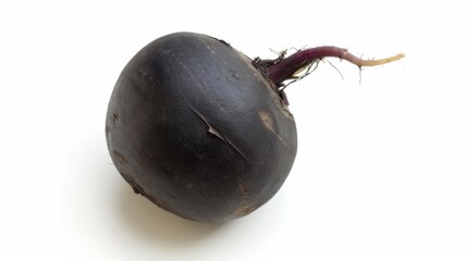 Place a single black radish centrally on a white background