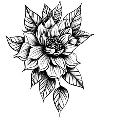 Wall Mural - A black and white drawing of a flower with a leafy stem. The flower is large and has a lot of detail, including the petals and stem. The drawing has a very elegant and sophisticated feel to it