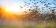 © Ян Заболотний - Swarm of synchronized flying insects performing aerial displays in the sky. Concept Synchronized Flying Insects, Aerial Displays, Swarm Behavior, Insect Choreography, Sky Performance