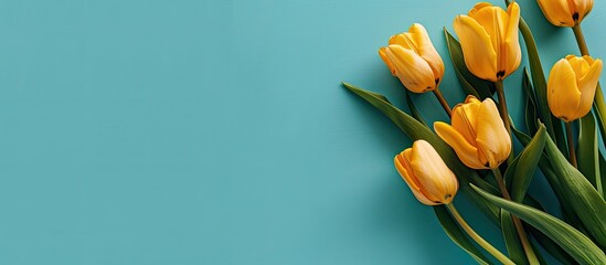 Sticker - Turquoise background featuring yellow tulips with copy space image