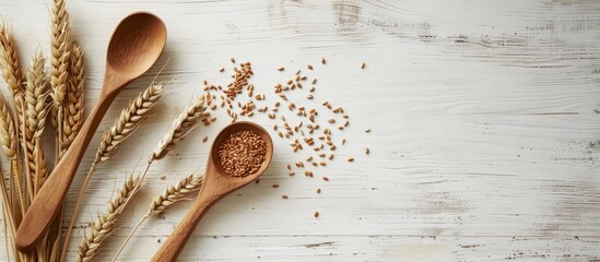 Wall Mural - Flat lay of barley grain and wooden utensil on white textured wood background with copy space image