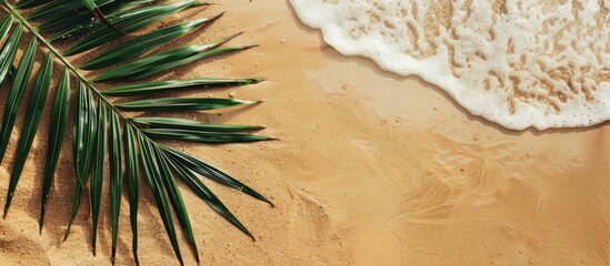 Canvas Print - Green palm leaf backdrop on sandy beach with room for text in image. Copy space image. Place for adding text and design