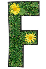 Letter F made of green grass with flowers isolated on white.