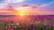 © netsay - field flower meadow beautiful sunset countryside violet blooming pink nature background