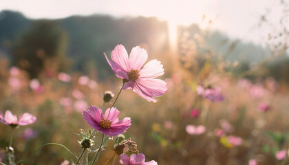 Wall Mural - Summer flower bright autumn flora nature pink spring water blossom closeup plant