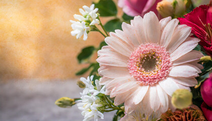 Wall Mural - Summer flower bright autumn flora nature pink spring water blossom closeup plant