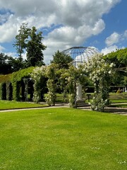 Poster - Tunnels made of plants and green grass in park