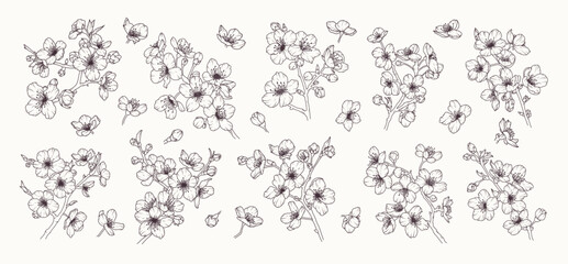 Set of sakura flower branch hand drawn black floral sketch. Cherry blossom japanese twigs line art. Spring botanical petal, leaves. Bloom asian plant vector illustration in outline style