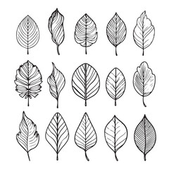 Wall Mural - autumn leave set