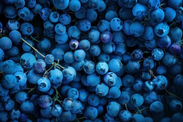 Wall Mural - Close up view of fresh blueberries, showcasing their plumpness and frosty texture