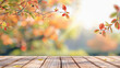 © TV24 - Empty Wooden Tabletop with Natural Autumn Background and Copy Space