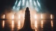© familymedia - A rear view of a performer wearing a long elegant gown standing on a stage, illuminated by blue and white lights, representing artistry and anticipation.
