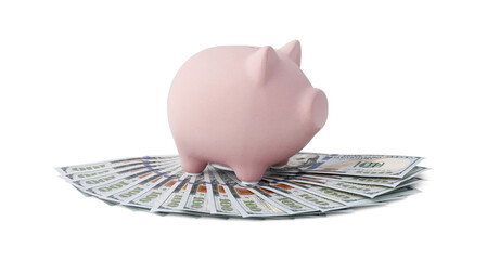 Poster - Piggy bank and money on white background