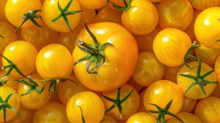 Canvas Print - The yellow ripe tomatoes