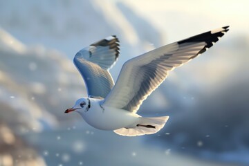 Canvas Print - A seagull soaring through the air with its wings outstretched, perfect for use in scenes depicting freedom or adventure