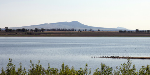 Canvas Print - Panorama of dawn light on a flock of American Coots and Lake Thirteen at Maxwell National Wildlife Refuge in New Mexico