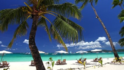 Poster - Sun umbrellas and beach chairs on tropical beach with palm trees. Summer vacation. Boracay