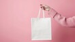© MP Studio - A Hand Holding Shopping Bag