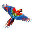 © Ekkarat_Studio - Colorful parrot flying flying isolated on transparent background. Png