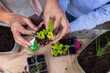 © Wavebreak Media - Planting seedlings together, gay couple gardening at home, nurturing new plants