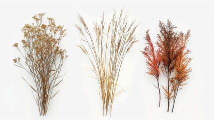 Sticker - Dried Flower Arrangement