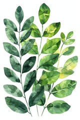 Poster - A painting of green leaves with a white background