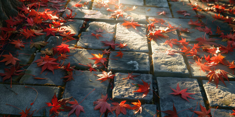 Wall Mural - Japanese Autumn: Sunlit Red Maple Leaves Casting Shadows on Stone Path, Nature Background