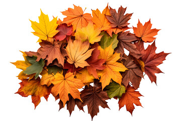 Wall Mural - High-resolution leaves pile top view PNG with transparent background for creative design projects, nature-themed illustrations, and seasonal graphics