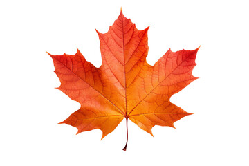 maple autumn leaf png illustration with transparent background, perfect for seasonal designs, fall-t
