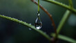 © lovey - water drops on grass dew 1