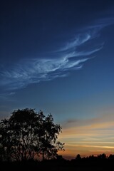 Wall Mural - Noctilucent clouds glowing ethereally in the twilight sky, their delicate tendrils catching the last rays of sunlight long after, Generative AI