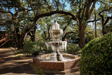 Wall Mural - Frozen fountain in a park with large trees and surrounding shrubs