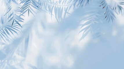 Wall Mural - light blue background palm leaves and copy space, summer backdrop