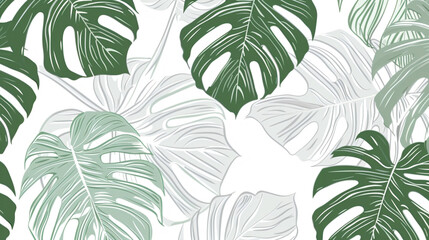 Poster - Abstract vector line art drawing of monstera leaves on a white background, using a green and gray color palette in the style of a seamless pattern design.