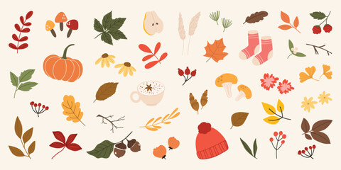 Wall Mural - Collection of autumn element vector. Set of flowers, oak, maple, ginkgo leaf, berry, mushroom, acorn, pumpkin, sock, coffee. Hand drawn of autumn foliage design for decorative, print, graphic, card.